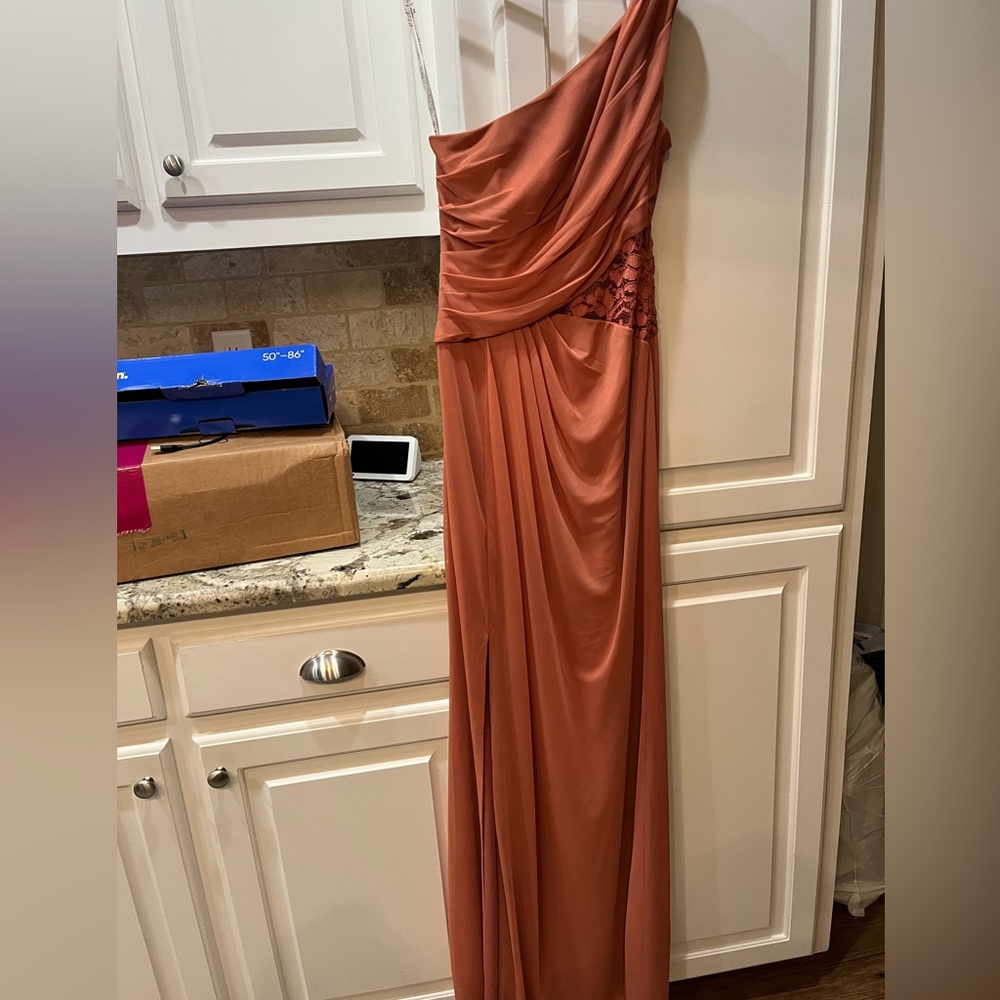 David’s Bridal maxi desert rose dress